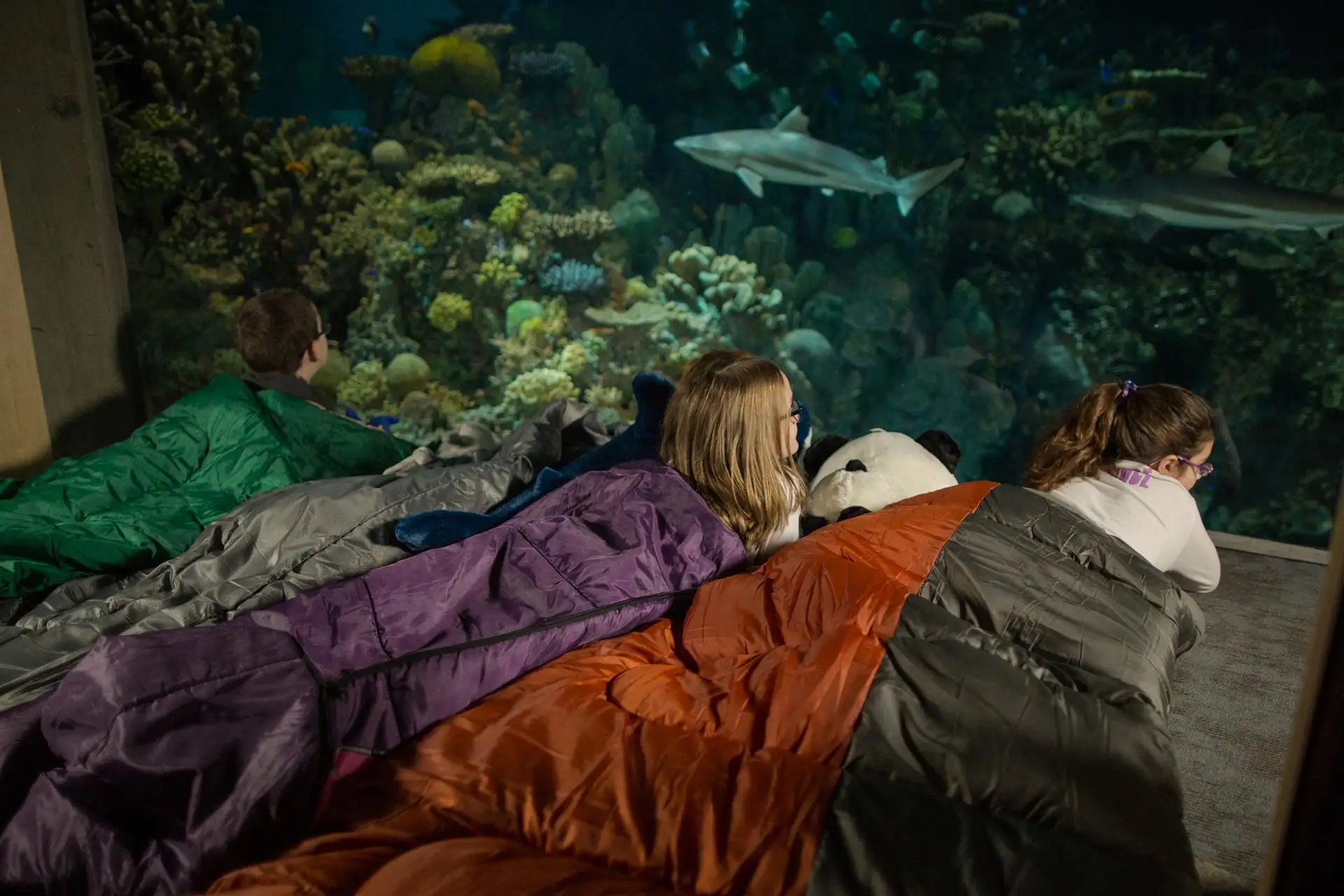 Smithsonian's National Zoo.